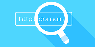 domain checker
